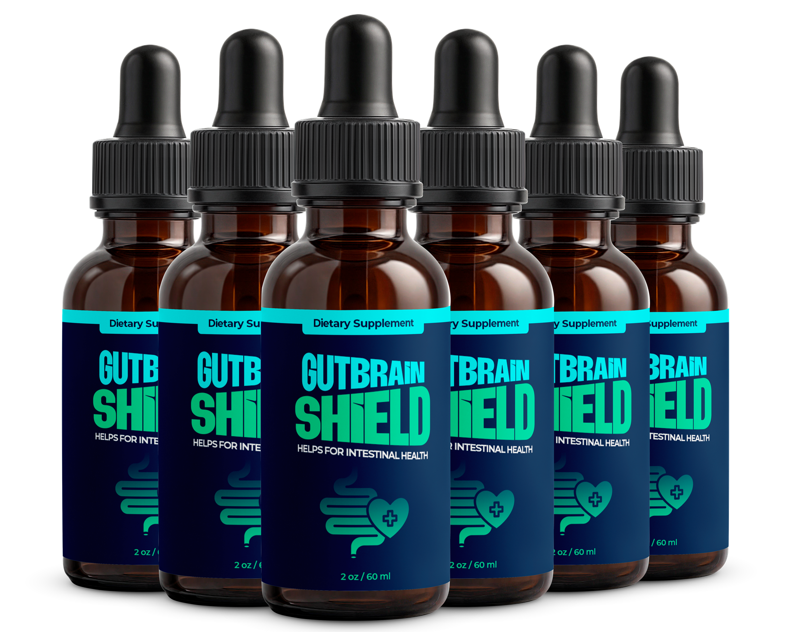 6 Bottles of Gut Brain Shield